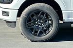 New 2025 Ford F-150 STX SuperCrew Cab for sale #00250720 - photo 23