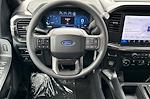 2025 Ford F-150 SuperCrew Cab RWD Pickup for sale #00250819 - photo 14