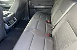 2026 Ford F-150 SuperCrew Cab 4WD Pickup for sale #00260200 - photo 12