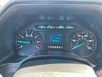 2020 Ford F-250 Regular Cab RWD Pickup for sale #2250371 - photo 18