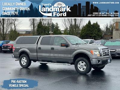 2010 Ford F-150 SuperCrew Cab 4WD Pickup for sale #2250618 - photo 1