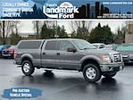 Used 2010 Ford F-150 SuperCrew Cab for sale #2250618 - photo 1