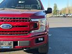 2019 Ford F-150 SuperCrew Cab 4x4 Pickup for sale #2260006 - photo 8