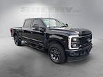 2024 Ford F-250 Crew Cab 4x4 Pickup for sale #J4817P - photo 7