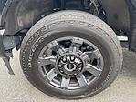 2024 Ford F-250 Crew Cab 4x4 Pickup for sale #J4817P - photo 9