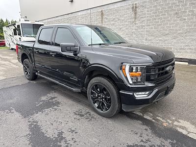 2023 Ford F-150 SuperCrew Cab 4x4 Pickup for sale #J4837P - photo 1