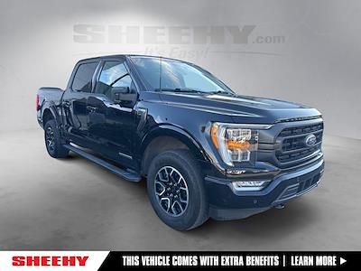 2023 Ford F-150 SuperCrew Cab 4WD Pickup for sale #J4943P - photo 1