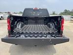 New 2025 Ram 1500 Lone Star Crew Cab 4x4 Pickup for sale #SN515781 - photo 14