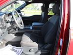 2024 Ford F-150 SuperCrew Cab RWD Pickup for sale #RT937 - photo 18