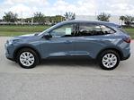 2025 Ford Escape FWD SUV for sale #ST033 - photo 7