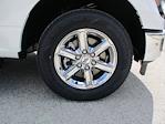 2025 Ford F-150 SuperCrew Cab RWD Pickup for sale #ST275 - photo 8
