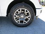 New 2025 Ford F-150 STX Super Cab Pickup for sale #ST396 - photo 9