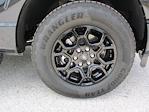 2025 Ford F-150 SuperCrew Cab 4WD Pickup for sale #ST512 - photo 9