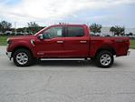 2025 Ford F-150 SuperCrew Cab 4WD Pickup for sale #ST514 - photo 7