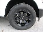 New 2025 Ford F-150 STX SuperCrew Cab 4WD Pickup for sale #ST680 - photo 9