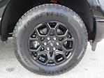 New 2025 Ford F-150 XLT SuperCrew Cab 4WD Pickup for sale #ST841 - photo 5
