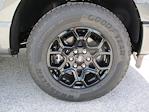 New 2025 Ford F-150 XLT SuperCrew Cab 4WD Pickup for sale #ST845 - photo 9