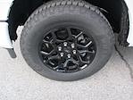 New 2025 Ford F-150 XLT SuperCrew Cab 4WD Pickup for sale #ST856 - photo 9