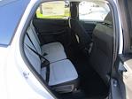 New 2026 Ford Escape Active SUV for sale #TT020 - photo 7
