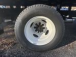 New 2024 Ford E-450 BASE14FT CARGO XL 4x2 Wabash Box Van for sale #FAN1966 - photo 29