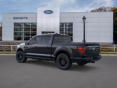 2025 Ford F-150 SuperCrew Cab 4x4 Pickup for sale #FAN3637 - photo 2