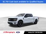 New 2025 Ford F-150 XLT SuperCrew Cab 4x4 Pickup for sale #FAN3949 - photo 1