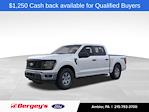 New 2025 Ford F-150 XL SuperCrew Cab 4x4 Pickup for sale #FAN3950 - photo 1