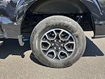 2023 Ford F-150 SuperCrew Cab 4x4 Pickup for sale #FAU2643 - photo 39