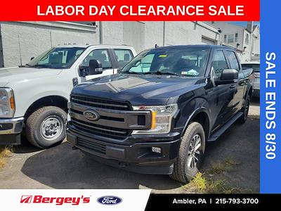 2019 Ford F-150 SuperCrew Cab 4x4 Pickup for sale #FAU2913 - photo 1