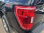 2023 Ford F-150 SuperCrew Cab 4WD Pickup for sale #FAU2920 - photo 41