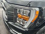 2023 Ford F-150 SuperCrew Cab 4WD Pickup for sale #FAU2986 - photo 36