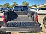 2023 Ford F-150 SuperCrew Cab 4WD Pickup for sale #FAU2988 - photo 6