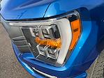 2023 Ford F-150 SuperCrew Cab 4WD Pickup for sale #FAU3062 - photo 38