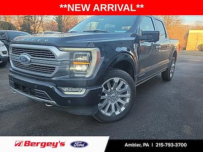 2023 Ford F-150 SuperCrew Cab 4WD Pickup for sale #FAU3209 - photo 1