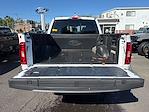 2023 Ford F-150 SuperCrew Cab 4WD Pickup for sale #FAU3243 - photo 12