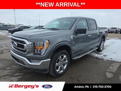Used 2023 Ford F-150 - photo 1