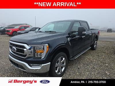 Used 2023 Ford F-150 - photo 1