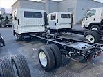 2024 Isuzu NPR-HD Crew Cab 4x2 Cab Chassis for sale #000004 - photo 2
