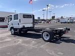 2022 Isuzu NQR Crew Cab 4x2 Cab Chassis for sale #N7900098 - photo 2