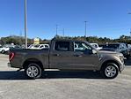 2023 Ford F-150 SuperCrew Cab 4WD Pickup for sale #D6460 - photo 6