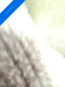 Used 2006 Chevrolet Tahoe - photo 1