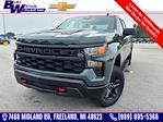 New 2025 Chevrolet Silverado 1500 Custom Crew Cab 4x4 Pickup for sale #223406B - photo 1