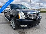 2009 Cadillac Escalade AWD SUV for sale #259129 - photo 8