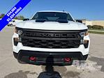 Used 2023 Chevrolet Silverado 1500 Custom Crew Cab for sale #279194D - photo 9