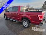 2017 Ford F-150 SuperCrew Cab 4WD Pickup for sale #B25704A - photo 12