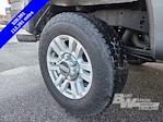 2017 Ford F-250 Crew Cab 4WD Pickup for sale #C46341 - photo 8