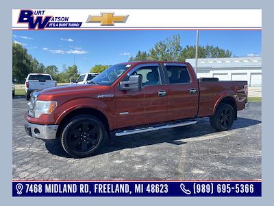 2014 Ford F-150 SuperCrew Cab 4WD Pickup for sale #D87842C - photo 1