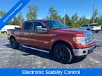 2014 Ford F-150 SuperCrew Cab 4WD Pickup for sale #D87842C - photo 7