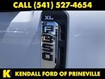 2024 Ford F-350 Regular Cab SRW 4x4 Pickup for sale #WP6740A - photo 10