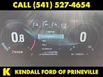2021 Ford F-150 SuperCrew Cab 4x4 Pickup for sale #WPAB6814 - photo 15